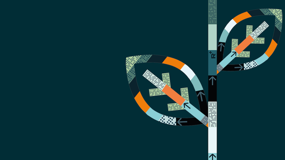 10 Benefits of Adding Green Space to your Self Storage Facility