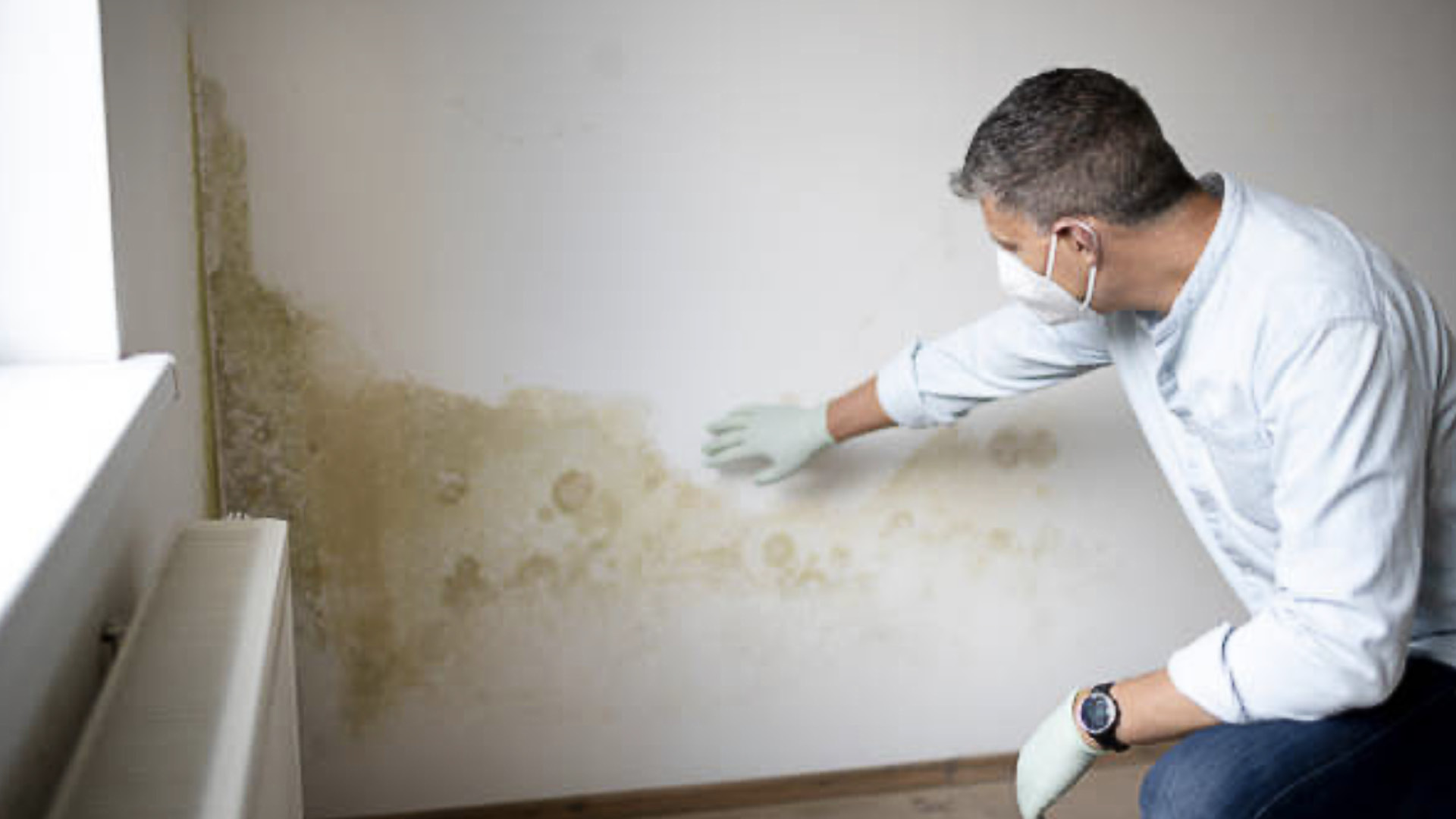 The Issue of Mold and Mildew in Self-Storage