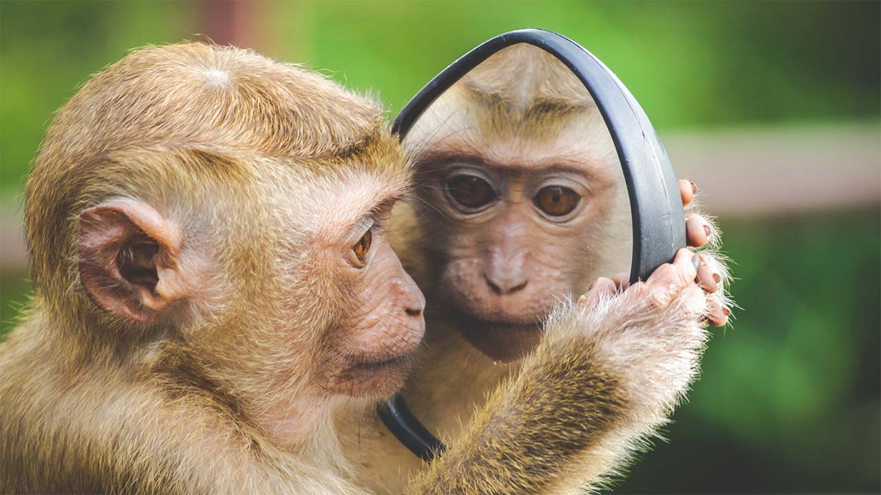 Emotional Intelligence: What is It and Why it’s Necessary in the Workplace