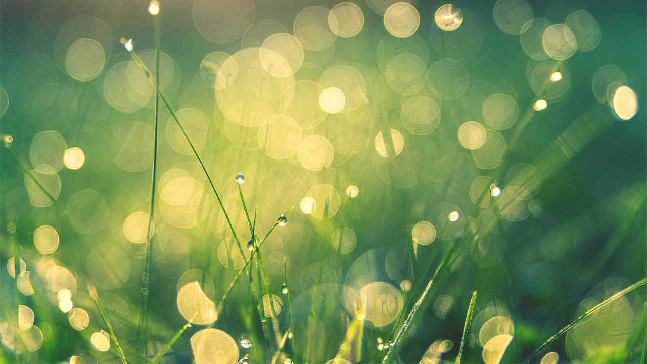 Extra Space Storage Leads U.S. Self-storage Industry In Sustainability