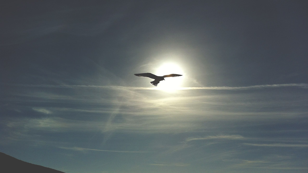 Are Some Self Storage Developers Flying too Close to the Sun?