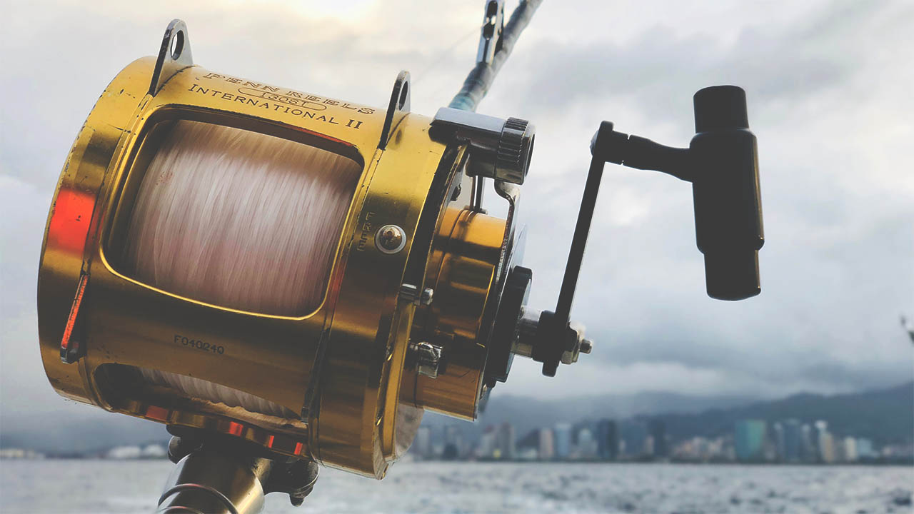 The Perfect Catch: Preparing a Winning Loan Request Package