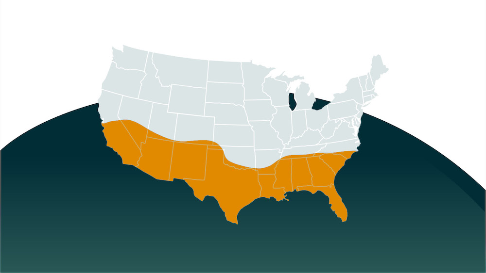 Sunbelt Regions and Self-Storage
